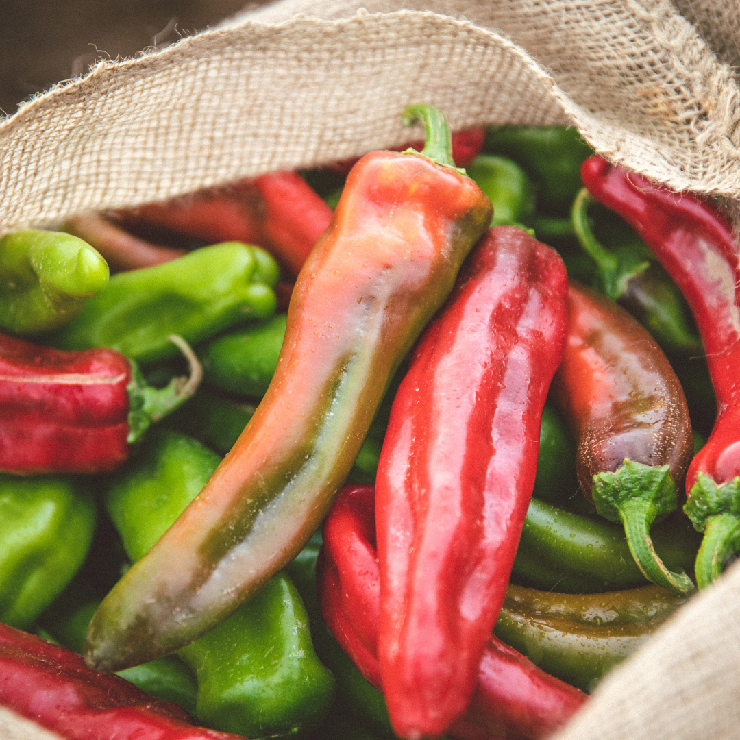 Fresh Hatch Red & Green Chile Blend “Pinto” Peppers (Medium - Hot) | Hatch, New Mexico
