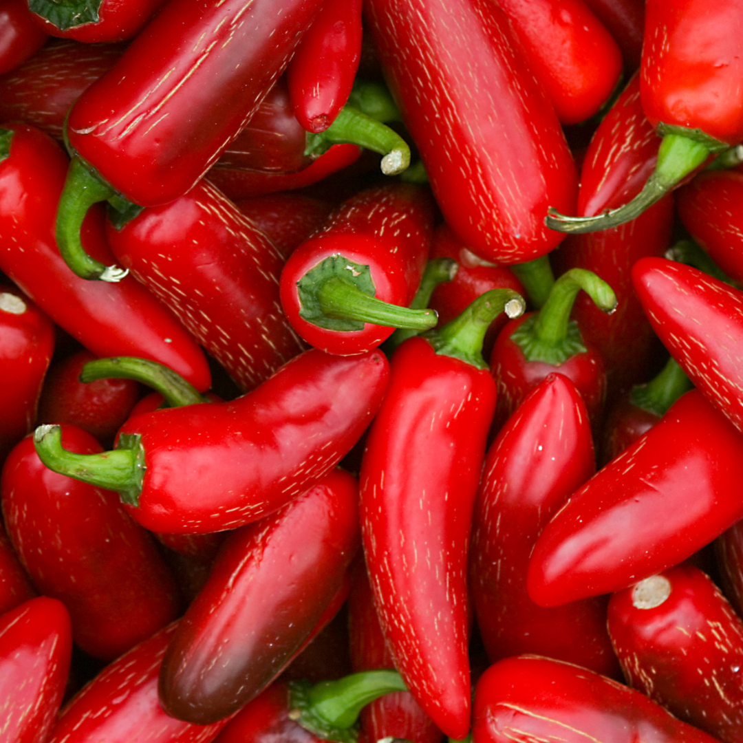 Fresh Hatch Red Jalapeño Peppers | Fully Ripened and Grown in Hatch, New Mexico