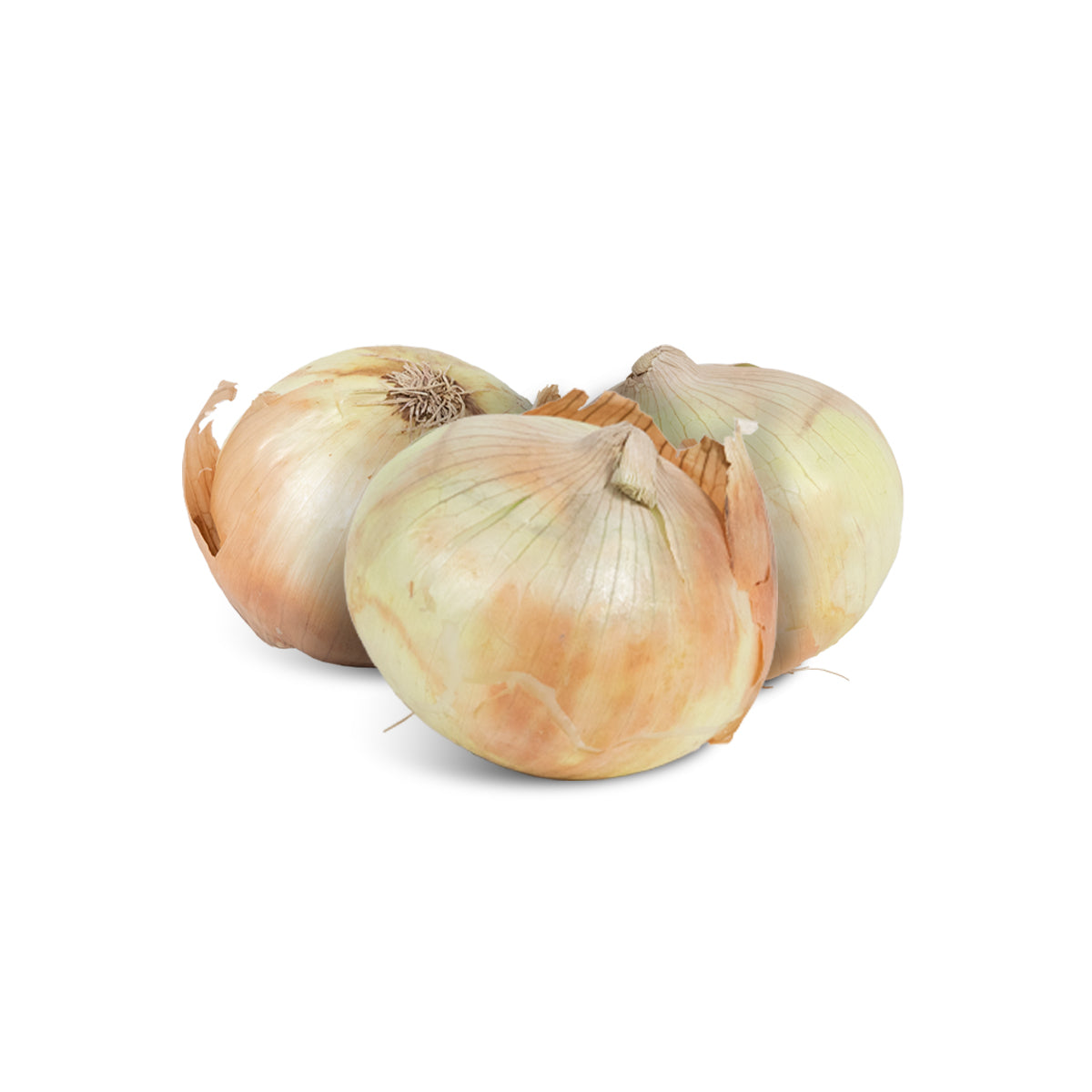 Fresh NuMex Sweet Onions from Hatch, New Mexico – 10lb Box
