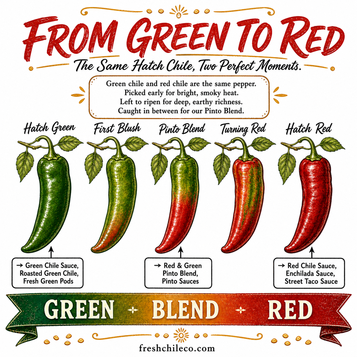 575 Sandia Select Green Hatch Green Chile (Hot) - The Fresh Chile Company