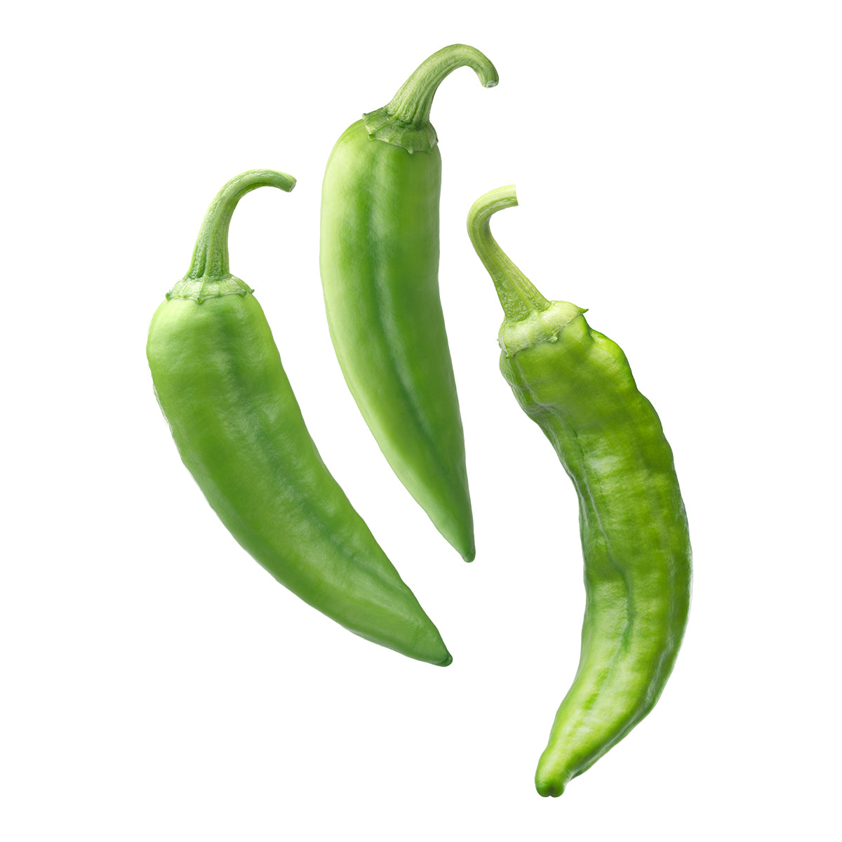 Fresh Hatch Green Chile Peppers (Medium) The Fresh Chile Co
