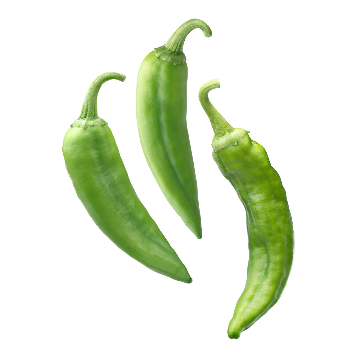 Medium Fresh Hatch Green Chile Peppers | Big Jim - Charger - The Fresh Chile Company