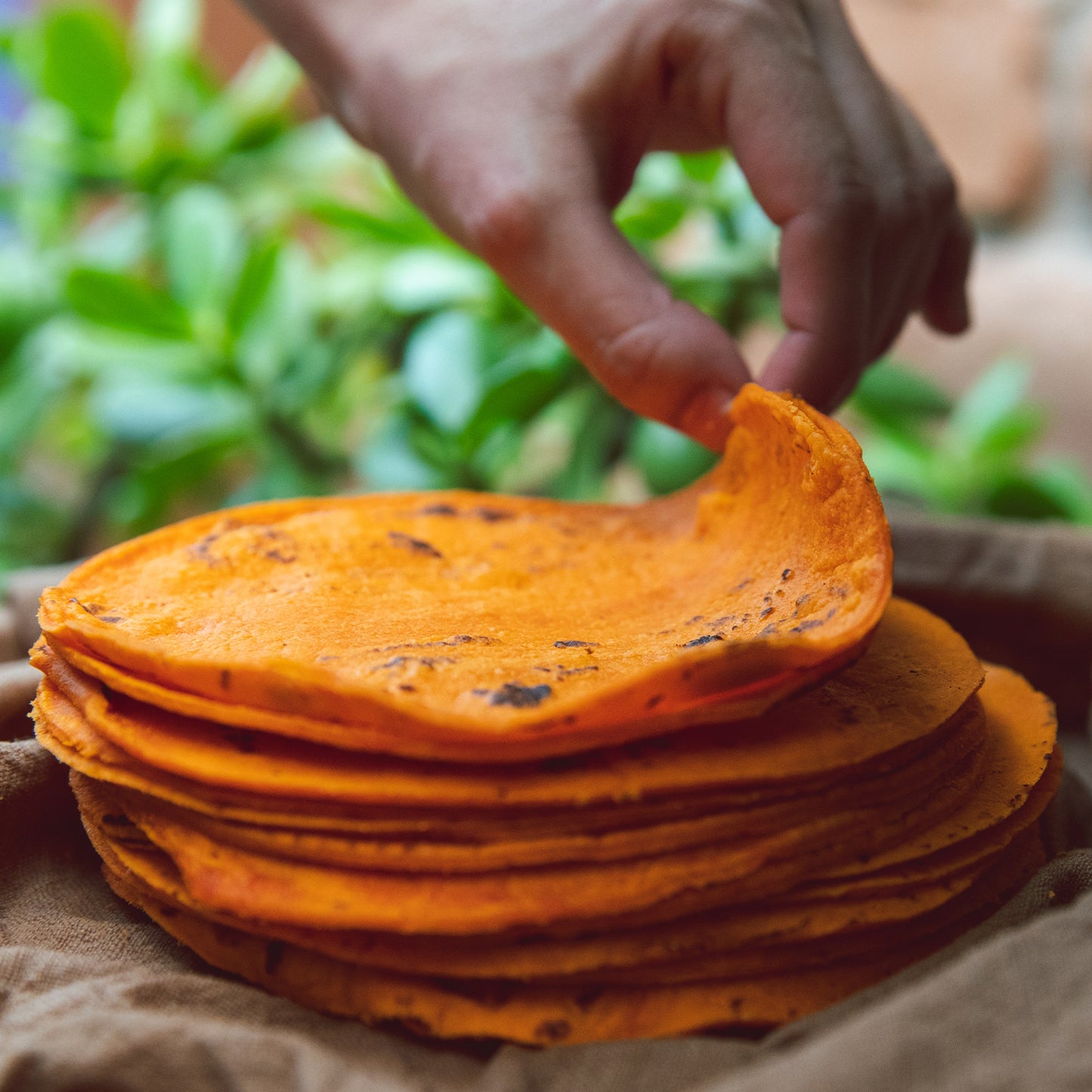 Hatch Red Chile Corn Tortillas - The Fresh Chile Company