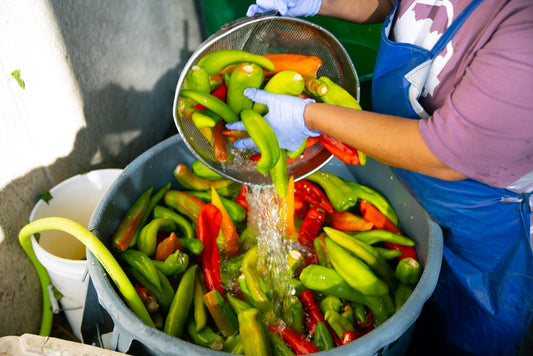Hatch Chile vs. Other Popular Chiles: Mild To Hot, Red To Green — Everything You Need To Know