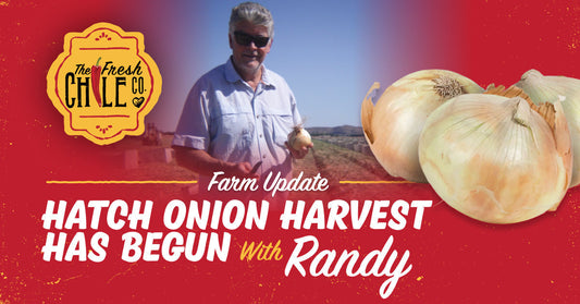 Hatch Grows More Onions Than Chile. Here's Why That Matters.