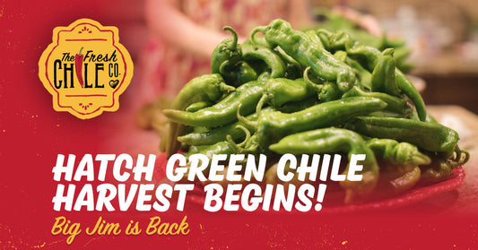 Hatch Green Chile Harvest Begins! | Big Jim is Back