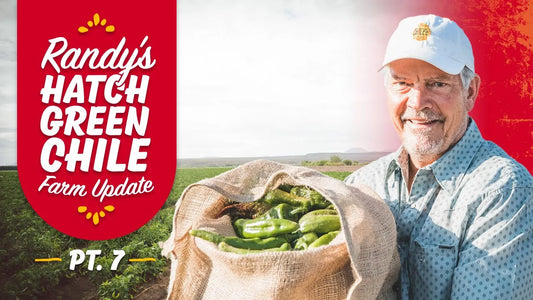 Hatch Green Chile Furrow Machine | Hatch Green Chile Update