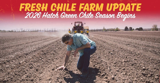 Hatch Green Chile Planting Begins in Hatch, New Mexico | Fresh Chile Farm Update