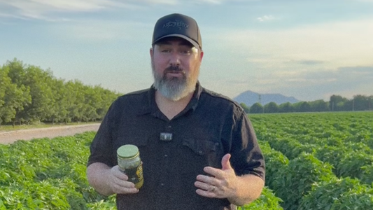 Hatch Green Chile: The 2026 Season, Straight From the Field
