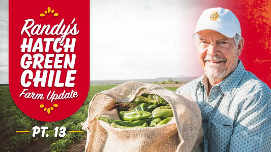 Hatch Canal | Hatch Green Chile Update