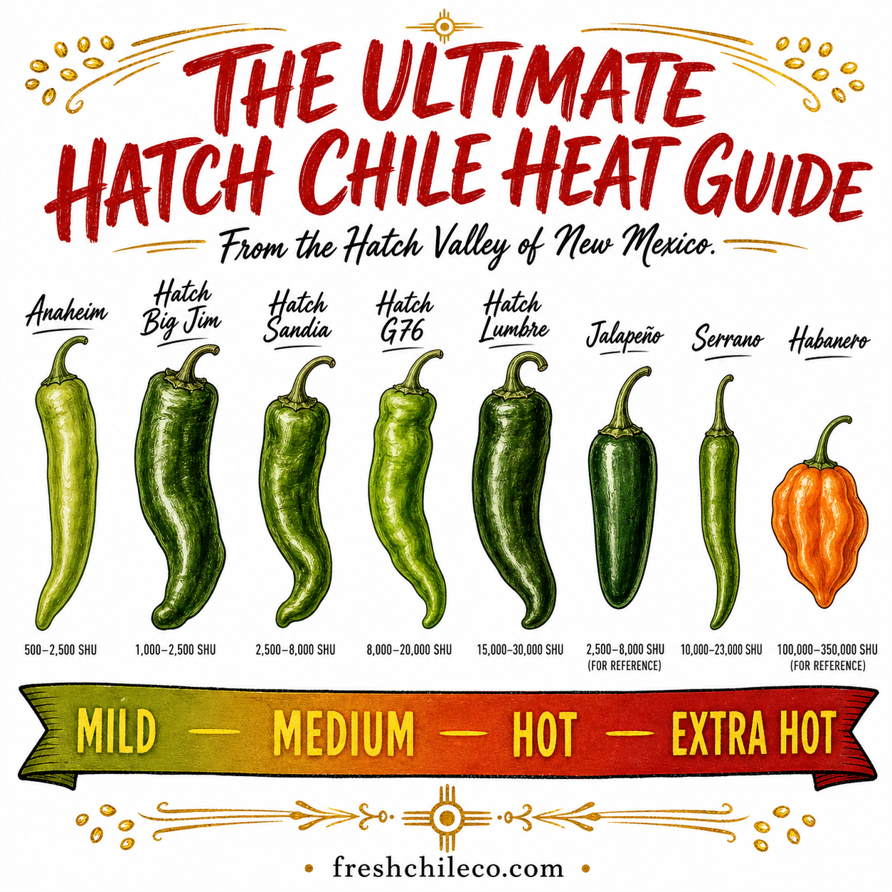 575 Sandia Select Green Hatch Green Chile (Hot) product image 4