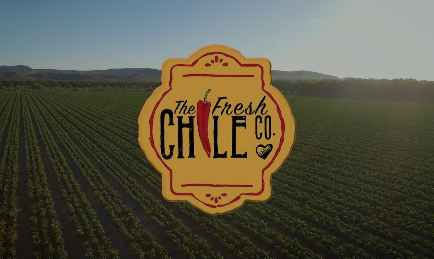 Load video: The Fresh Chile Story