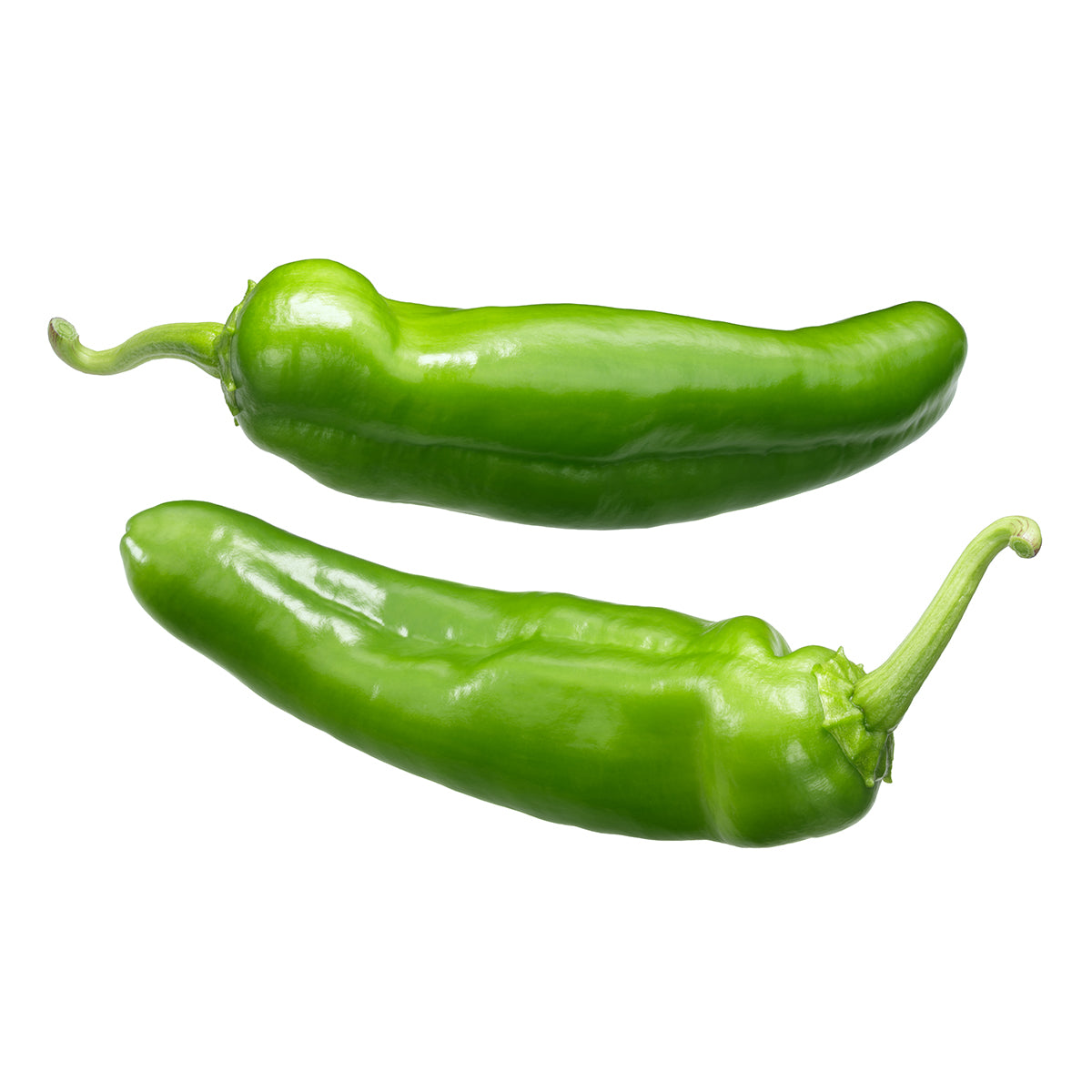 Mild Fresh Hatch Green Chile Peppers | Machete - Joe Parker - The Fresh Chile Company